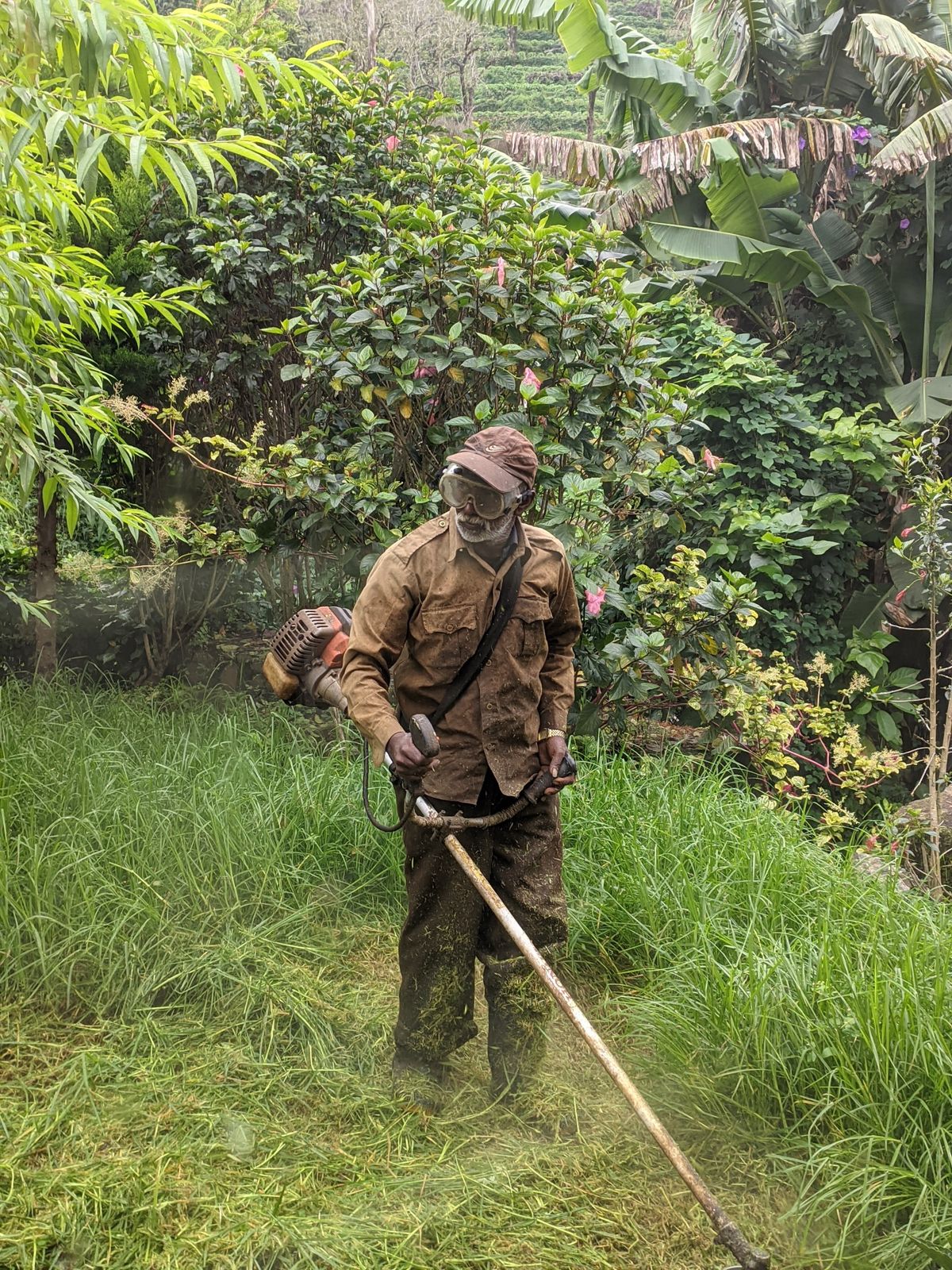 Desbrozadora trabajando en jardín tropical